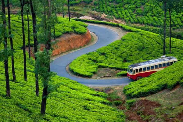 Munnar Package